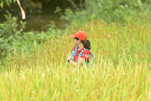 BIB: 
                            <button type="button" onclick="openModal(13434403)" class="btn btn-primary btn-sm float-right btn-popup" data-toggle="modal" data-target=".modal-high-quality">
                        <i class="fas fa-shopping-cart"></i> Add to Cart
                    </button>
                                            <button type="button" onclick="isThisMe(13434403, true)" class="btn btn-success btn-sm float-right btn-popup btn-isme hidden" data-toggle="tooltip" data-placement="bottom" title="นี่คือรูปของคุณใช่ไหม คลิกที่นี่เพื่อเอาเข้าอัลบั้ม">
                        <i class="fas fa-plus"></i> Add to album
                    </button>
                    <button type="button" onclick="isThisMe(13434403, false)" class="btn btn-warning btn-sm float-right btn-popup btn-isnotme hidden">
                        <i class="fas fa-ban"></i> Remove from album
                    </button>